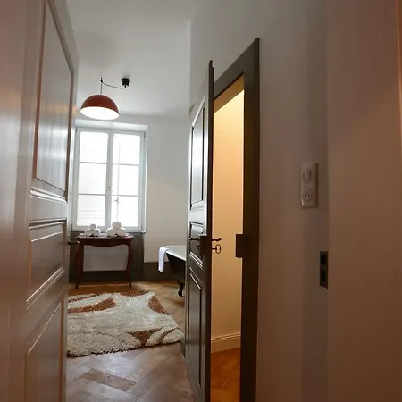 Apartment Saint Nicolas Colmar