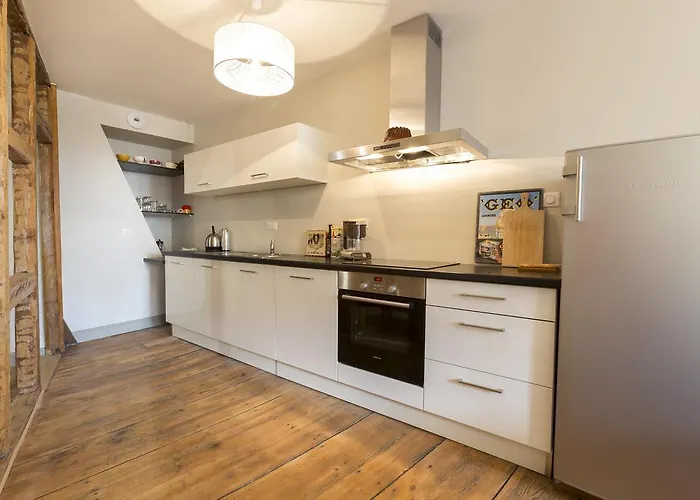 Apartment Saint Nicolas Colmar