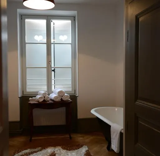 Apartment Saint Nicolas Colmar